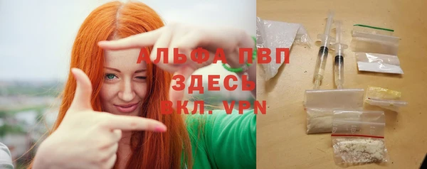дживик Богданович