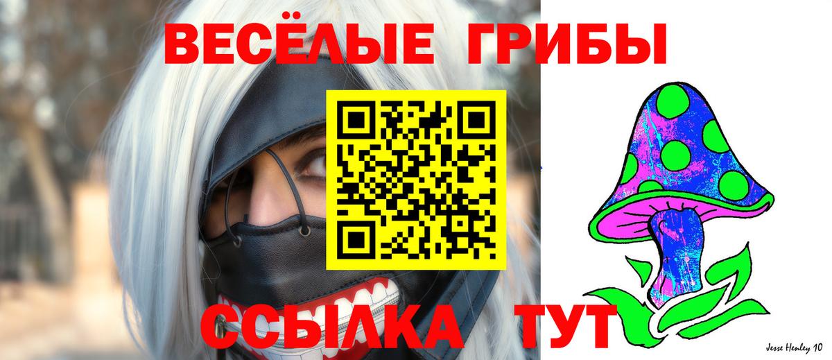 Псилоцибиновые грибы GOLDEN TEACHER Верхняя Салда